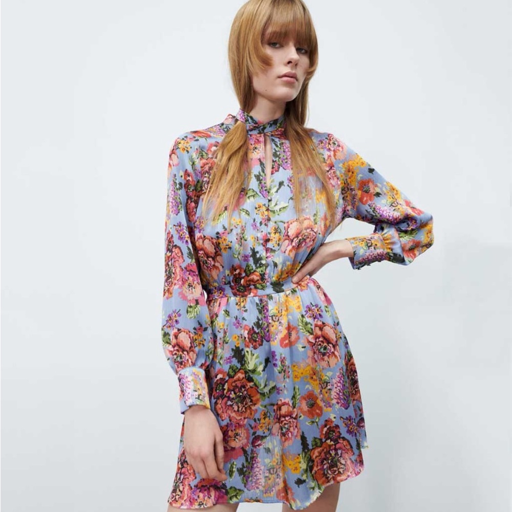 Zara Floral Print Long Sleeve Dress